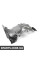 51717407331 BMW КРИШКА, КОЛІСНА КАРКА, ПЕРЕДНЯ