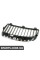 51137120010 BMW Ґрати для нирок - праворуч