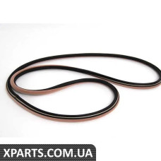 51721946396 BMW Ущільнювач передніх дверей - чорний