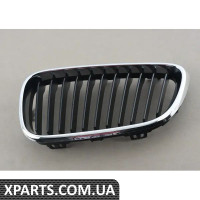 51137295521 BMW Передні грати - ліва - основа