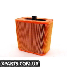 13727838804 BMW Повітряний фільтр