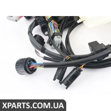 12517836378 BMW E46 Джгут проводів двигуна Модуль коробки передач