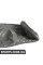 51488243776 BMW Верхняя звукоизолирующая приборная панель