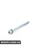 07129906169 BMW ВІНТ TORX