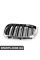 51118071047 BMW Передні грати - ліва - Xm
