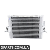 17217853240 BMW ЗОВНІШНІЙ ОЛІЙНИЙ ОХОЛОДНИК МОТОРА