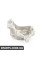 31216882596 BMW ПОВОРОТНИЙ ПІДШИПНИК, КУЛАЧОК
