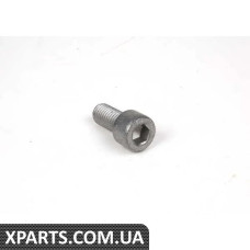 07119901979 BMW ВІНТ M10X22