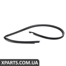 51717008976 BMW Ущільнення
