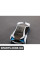 80452209951 BMW Модель автомобіля BMW Vision EfficientDynamics - білий/синій