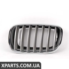 51137185223 BMW Передні грати - ліва - Титан