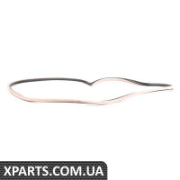 51728137775 BMW ЗАХИСТ КРАЮ