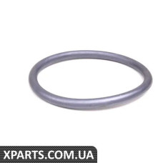 13711710059 BMW Кільце ущільнювача на впуску - Ціна вказана за кожне