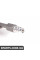64509181828 BMW E63 Всмоктувальна труба кондиціонера
