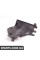 51718202799 BMW ОБЛАЖКА АНГ. КОМП.