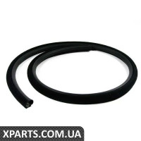 51722259791 BMW Захисний край ущільнення нижніх дверей - ліва