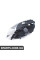 63127186816 BMW Ксенонова фара - права