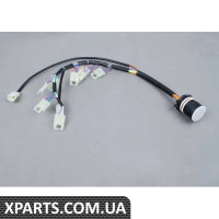 24341423719 BMW Джгут проводів з датчиком температури