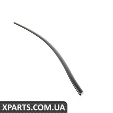 Windshield Trim