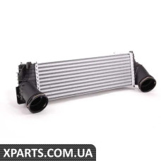 17517809321 BMW інтеркулер