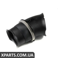 13717501195 BMW Впускний канал