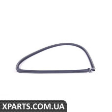 51220402747 BMW Ущільнювач задньої лівої двері
