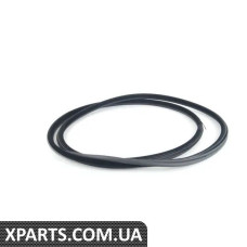 51727025580 BMW E53 X5 Ущільнювач задніх дверей - лівий та правий