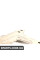 51718260810 BMW Розпірка переднього підрамника E46