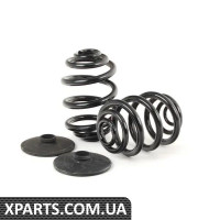 33539069757 BMW Задні гвинтові пружини