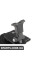 51952360373 BMW Тримач для iPad