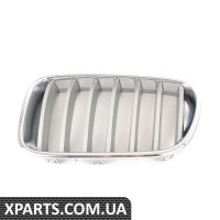 51117237421 BMW Передні грати - ліва - Титан