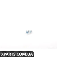 07119907906 BMW ВІНТ