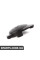 51617891281 BMW Заглушка Strut Tower — ціна вказана за штуку
