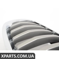 51137307600 BMW Передні грати - права