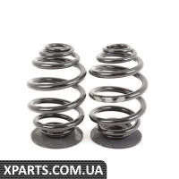 33539065365 BMW Задні гвинтові пружини