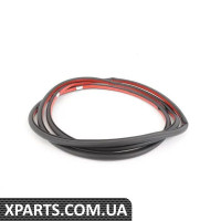 51767220381 BMW E70 X5 Ущільнювач дверей - передній