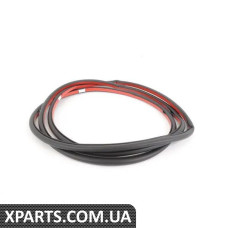 51767220381 BMW E70 X5 Ущільнювач дверей - передній