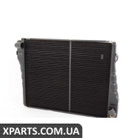 17111121295 BMW Радіатор