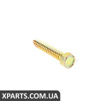 07119916886 BMW ВІНТ 6,3 Х 38