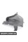 51757898892 BMW Кришка арки переднього колеса - права