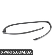 51767208591 BMW Верхній ущільнювач задніх дверей - лівий