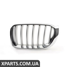 51137367421 BMW Передні грати - ліва - X-Line
