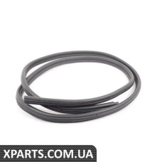 51727247260 BMW E90 Внутрішнє ущільнення дверей - заднє