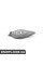 61667238068 BMW КРИШКА F НАЛИВНА ТРУБА