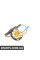 65139277839 BMW ТОП-HIFI Гучномовець