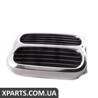 51131817683 BMW Центральна ниркова решітка