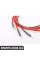 61119204609 BMW ПРОВОД ЖИВЛЕННЯ FO