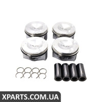 Поршневий комплект Borsehung B13574