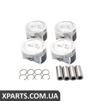 Поршневий комплект Borsehung B13578