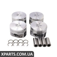 Поршневий комплект Borsehung B13579